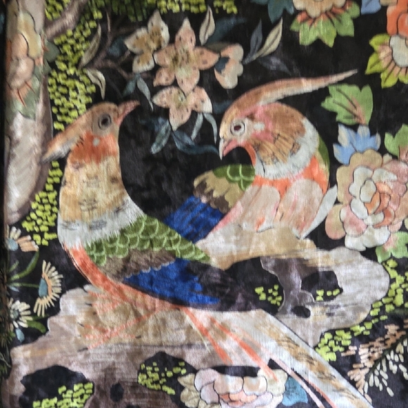 Floral Black Women's Top - Picture 5 of 6